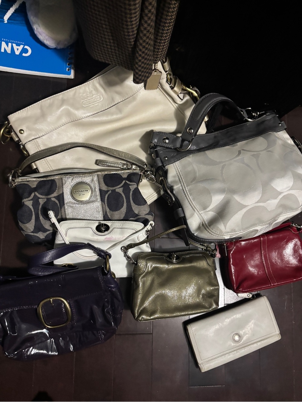 GOOD DEAL: RARE COACH BUNDLE (7 coach bags + 1 free wallet)